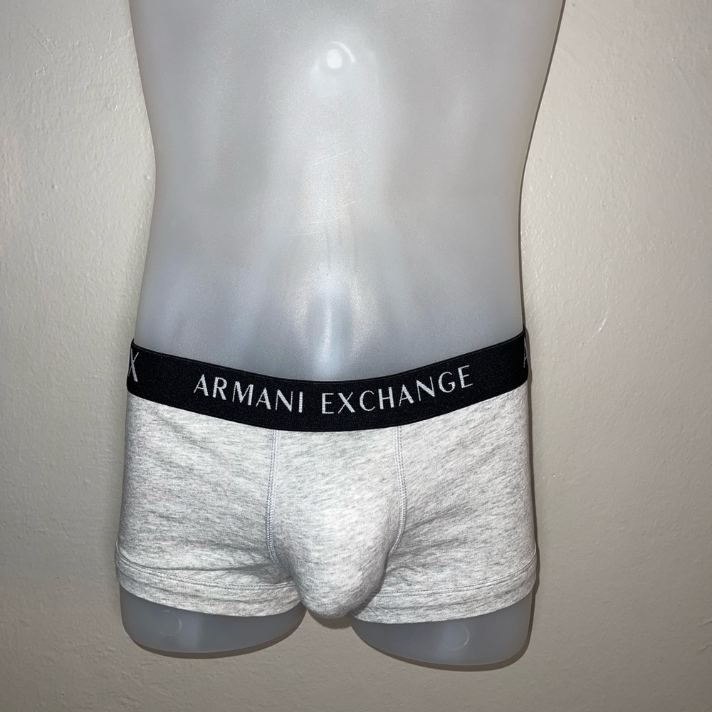 Small Gray ARMANI EXCHANGE TRUNKS